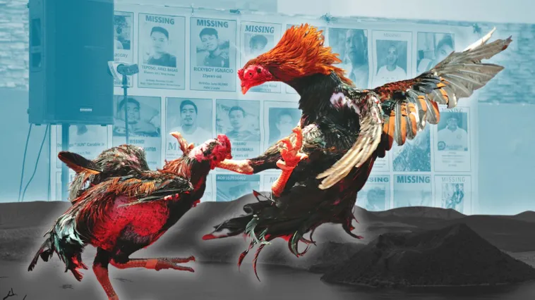 Bí Kíp Chơi Đá Gà Sabong Tại 69VN Từ A Đến Z Cho Người Mới