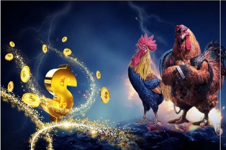 Khám Phá Sức Hút Của Sân Chơi Đá Gà 69VN Đẳng Cấp Hàng Đầu
